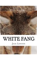 White Fang