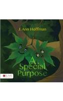 A Special Purpose