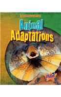 Animal Adaptations