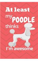 At least my Poodle thinks I'm awesome: For Poodle Dog Fans