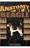 Anatomy Of A Beagle: Beagle 2020 Calendar - Customized Gift For Beagle Dog Owner