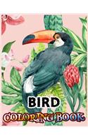 Bird Coloring Book