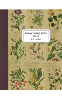 Vintage Botany Prints: Vol. 10