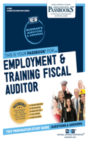 Employment & Training Fiscal Auditor