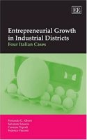 Entrepreneurial Growth in Industrial Districts