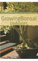 Growing Bonsai Indoors