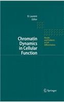 Chromatin Dynamics in Cellular Function: (41 Results and Problems in Cell Differentiation)
