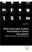 What Encourages Student Participation in Online Discussions?