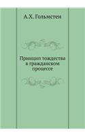 Принцип тождества в гражданском процесс