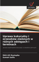 Uprawa kukurydzy i orzeszków ziemnych w różnych odstępach i terminach