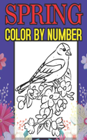 Spring Color By Number: Spring Season Color By Number Book for Adults Relaxation and Stress Relief (Color by Number Coloring Book)