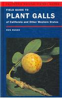 Field Guide to Plant Galls of California and Other Western States: (91 California Natural History Guides)