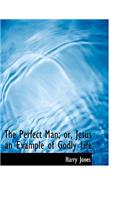 The Perfect Man; Or, Jesus an Example of Godly Life