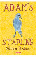 Adam's Starling