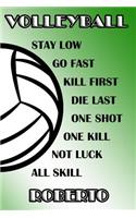 Volleyball Stay Low Go Fast Kill First Die Last One Shot One Kill Not Luck All Skill Roberto