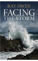 Facing the Storm