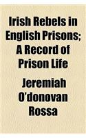 Irish Rebels in English Prisons; A Record of Prison Life