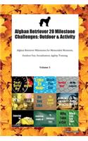 Afghan Retriever 20 Milestone Challenges: Outdoor & Activity Afghan Retriever Milestones for Memorable Moments, Outdoor Fun, Socialization, Agility, Training Volume 3