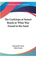 Curlytops at Sunset Beach or What Was Found in the Sand