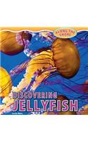 Discovering Jellyfish