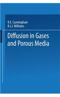 Diffusion in Gases and Porous Media