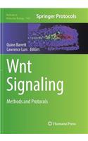 Wnt Signaling