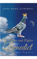 Flights and Plights of Benedict