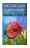 The Utmost Guide to Discus Fish Care