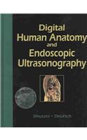 Human Anatomy and Endoscopic Ultrasonography