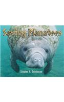 Saving Manatees
