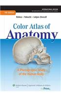 Color Atlas of Anatomy