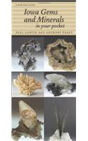 Iowa Gems and Minerals in Your Pocket