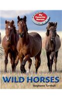 Wild Horses