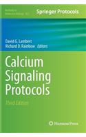 Calcium Signaling Protocols