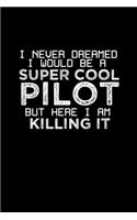 I never dreamed I would be a super cool pilot but here I am killing it