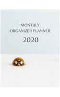 Monthly Organizer Planner: 2020 Year At A Glance Calendar and Organizer