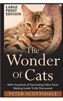 The Wonder Of Cats Large Print Edition