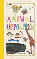 First Concept: Animal Opposites