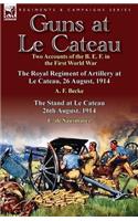 Guns at Le Cateau
