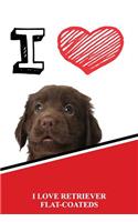 I Love Retriever Flat-Coateds: Isometric Dot Paper Portrait Notebook 120 Pages 6x9