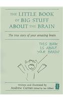 The Little Book of Big Stuff about the Brain