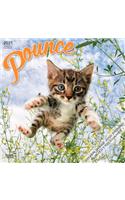 Pounce 2021 Square
