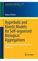Hyperbolic and Kinetic Models for Self-organised Biological Aggregations