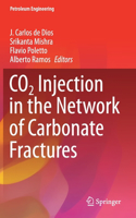 Co2 Injection in the Network of Carbonate Fractures