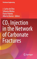 CO2 Injection in the Network of Carbonate Fractures