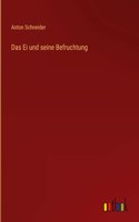 Ei und seine Befruchtung