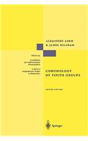 Cohomology of Finite Groups