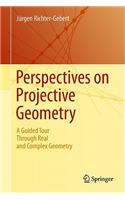 Perspectives on Projective Geometry