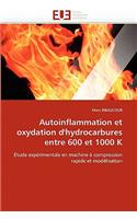 Autoinflammation Et Oxydation d'Hydrocarbures Entre 600 Et 1000 K: (Omn.Univ.Europ.)