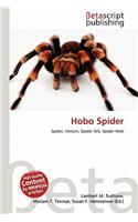 Hobo Spider